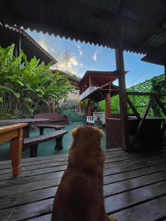Dreams Lodge Orosi Cartago Exteriér fotografie