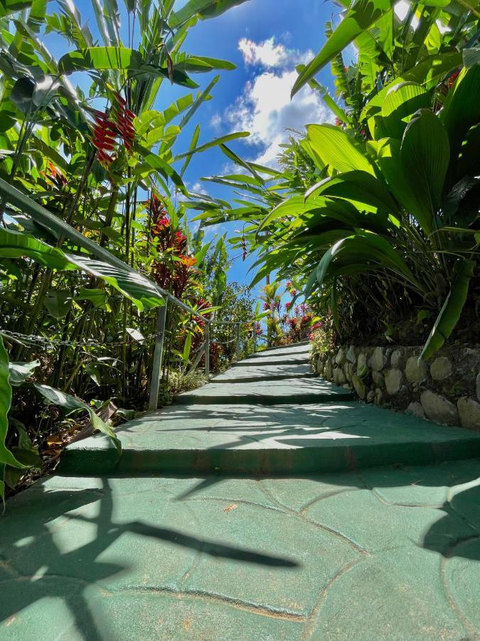 Dreams Lodge Orosi Cartago Exteriér fotografie