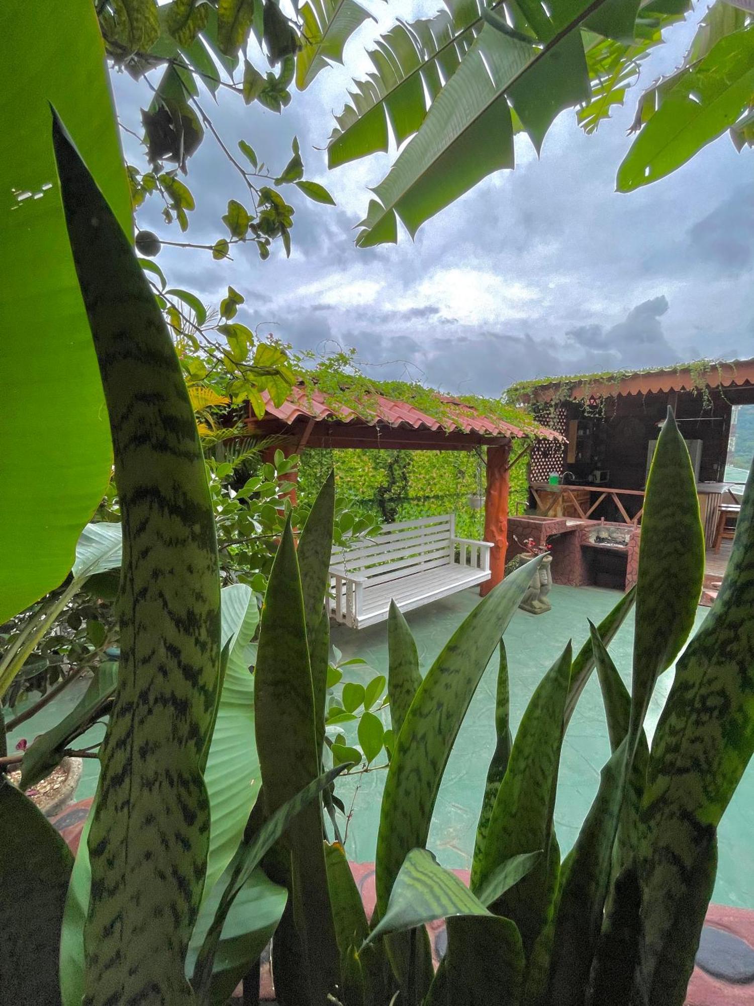 Dreams Lodge Orosi Cartago Exteriér fotografie